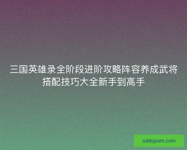 三国英雄录全阶段进阶攻略阵容养成武将搭配技巧大全新手到高手