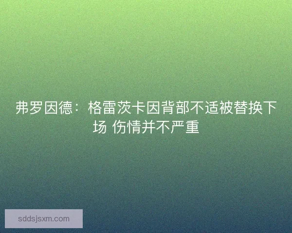 弗罗因德：格雷茨卡因背部不适被替换下场 伤情并不严重